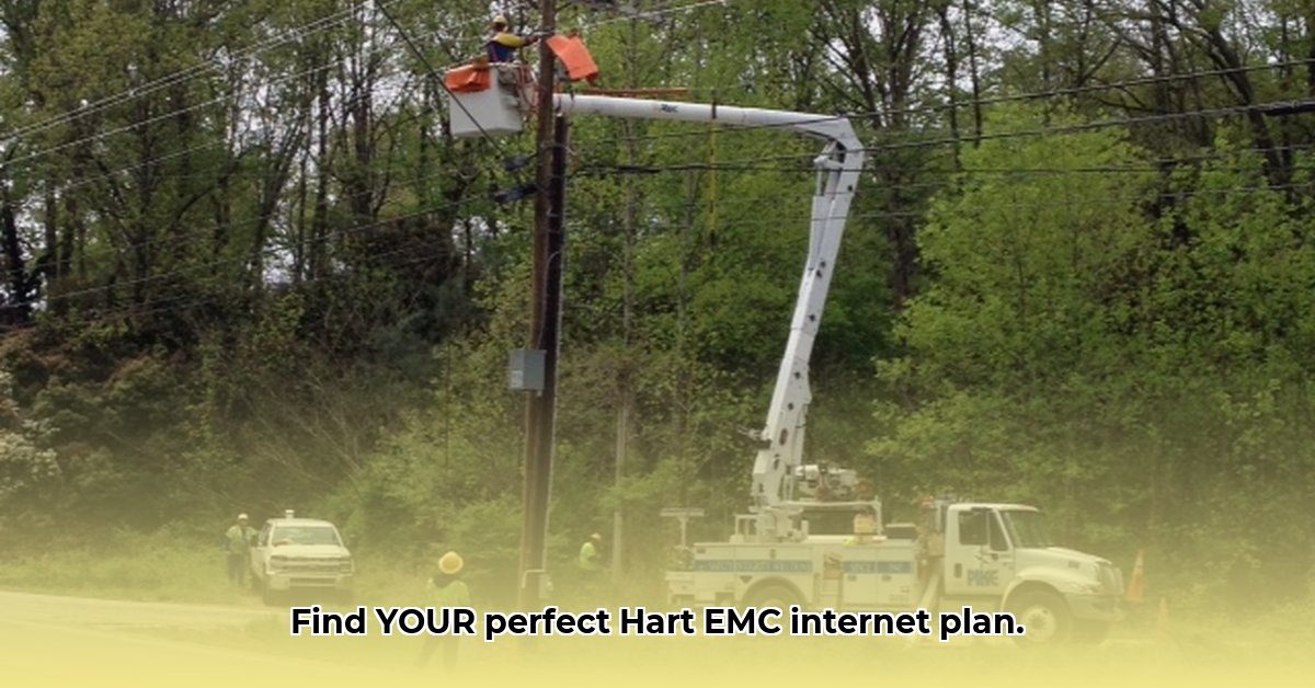 hart-emc-internet